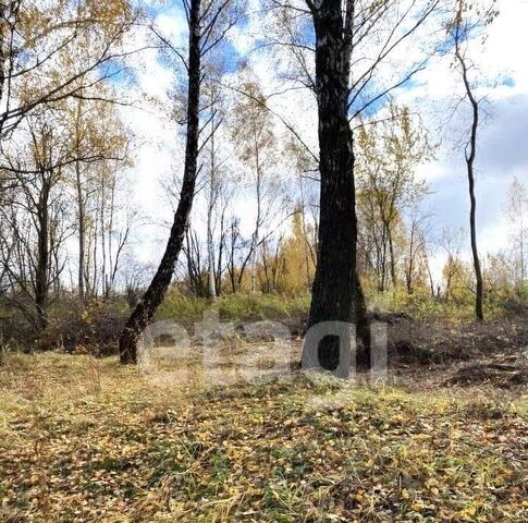 р-н Пролетарский Медвенка СНТ фото