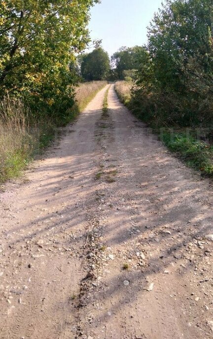 земля р-н Новгородский д Подберезье Трубичинское сельское поселение фото 4