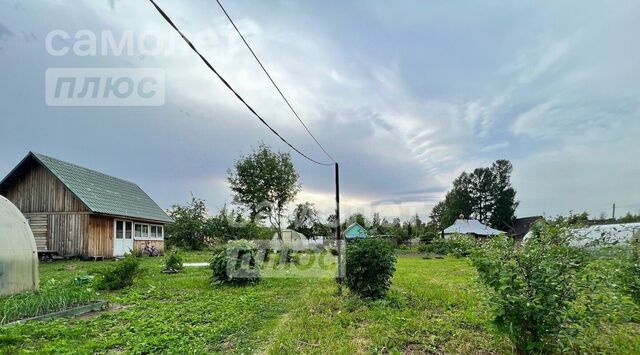 земля Рябовское городское поселение, Рябово городской поселок, ул. Восточная, 12 фото