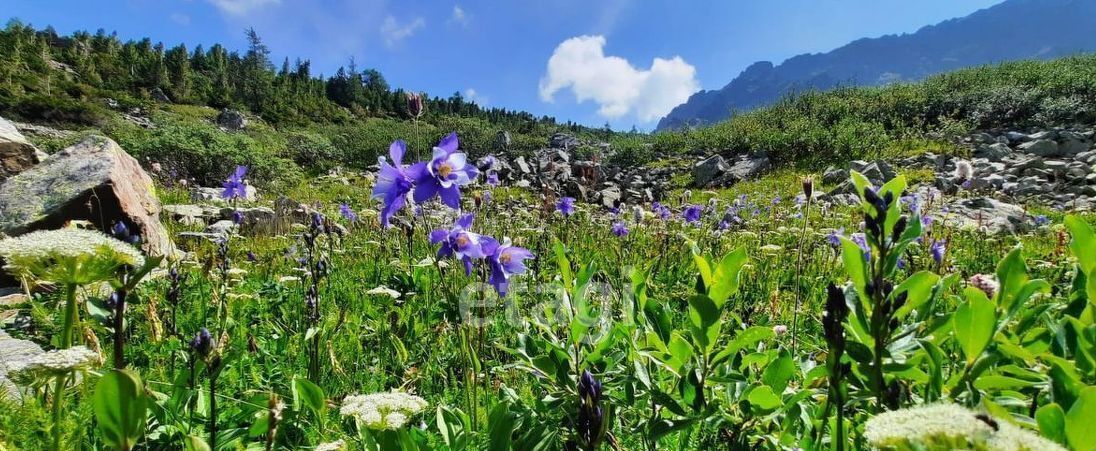 земля р-н Усть-Коксинский п Тюгурюк фото 3