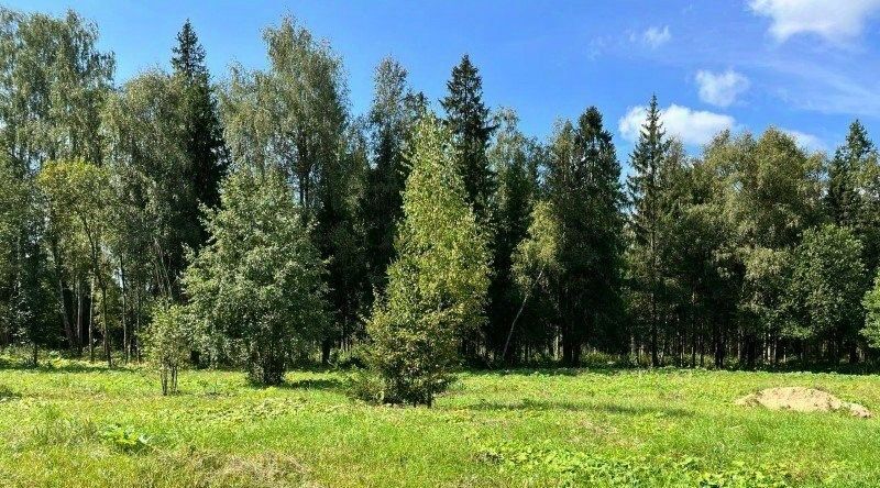 земля городской округ Рузский Эмеральд Вилладж кп, ул. Львиное Сердце фото 3