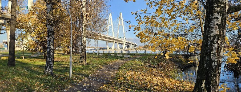 квартира г Санкт-Петербург метро Пролетарская Троицкое поле пер 1-й Рабфаковский 2 округ Обуховский фото 3