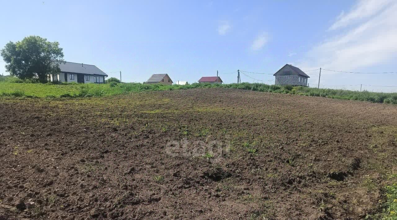 земля р-н Искитимский д Бердь ул Юбилейная сельсовет, Мичуринский фото 2