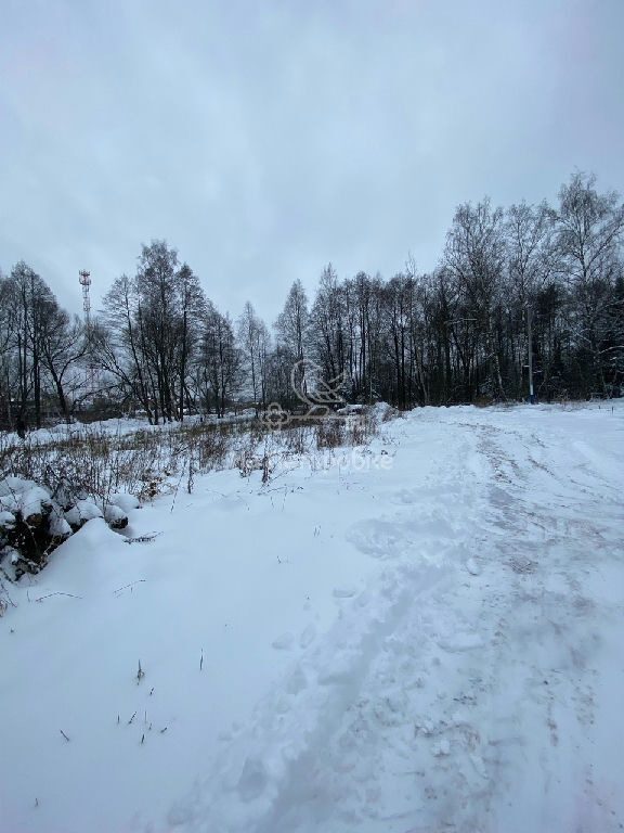 земля городской округ Щёлково с Трубино д., 51А фото 7