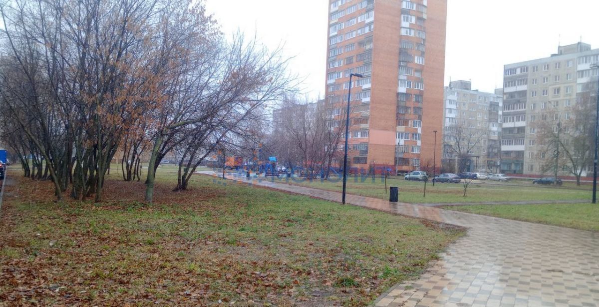 квартира г Нижний Новгород р-н Автозаводский Парк культуры ул Героя Советского Союза Прыгунова 17 фото 23