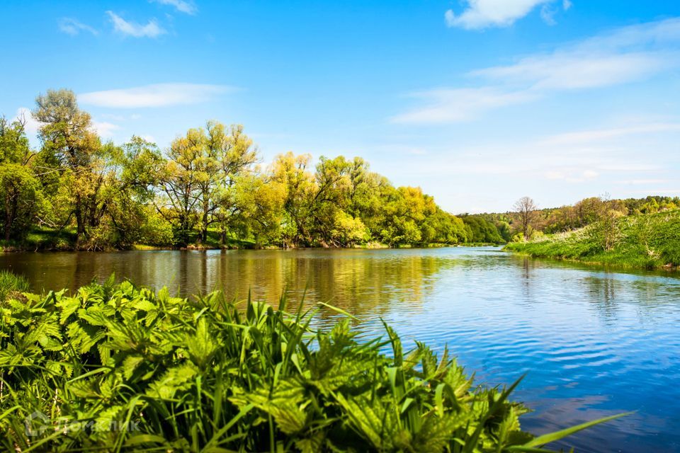 земля городской округ Ступино с Семёновское Коттеджный посёлок Shelkovo River фото 10