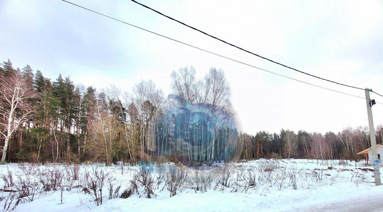 земля городской округ Сергиево-Посадский д Бор Домодедово, Подольск фото 1