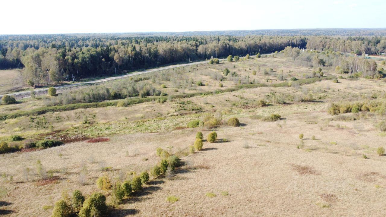 земля городской округ Дмитровский с Ильинское КП Васнецово Озеро, Васнецово озеро фото 5