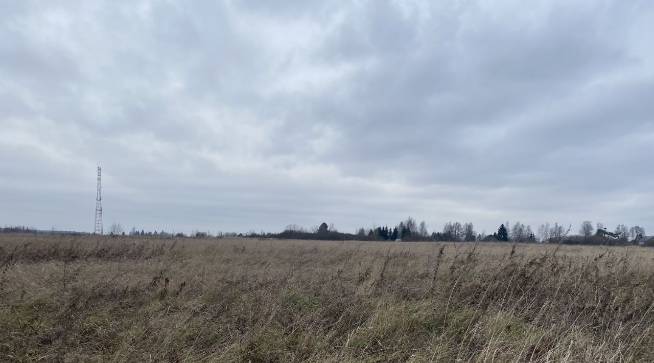 земля городской округ Шаховская Дор, Центральная улица фото 12