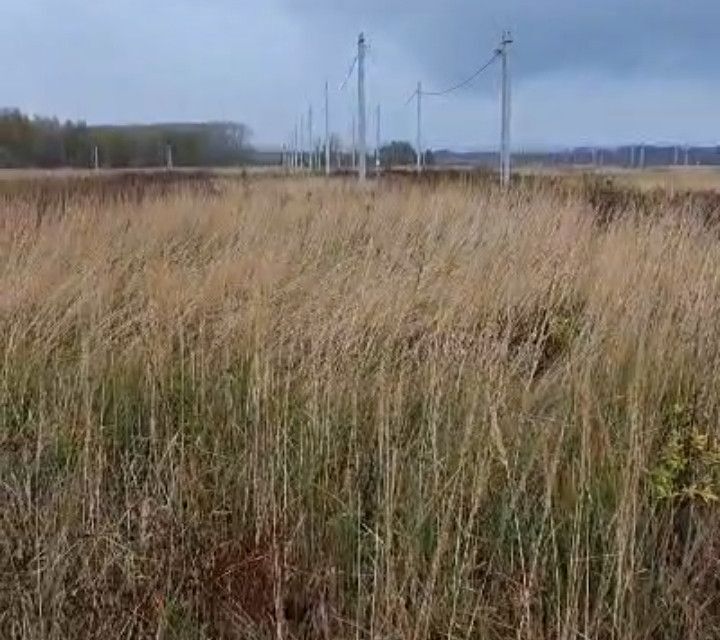 земля муниципальное образование Новомосковск, Новомосковск фото 6