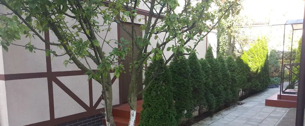 комната р-н Зеленоградский г Зеленоградск ул Л.Толстого 1а фото 8