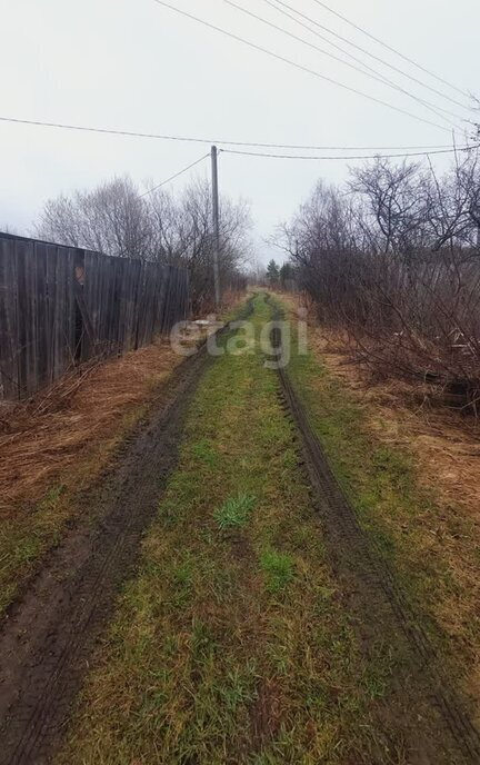 дом р-н Буйский д Большое Молочное ул Школьная Центральное сельское поселение фото 5