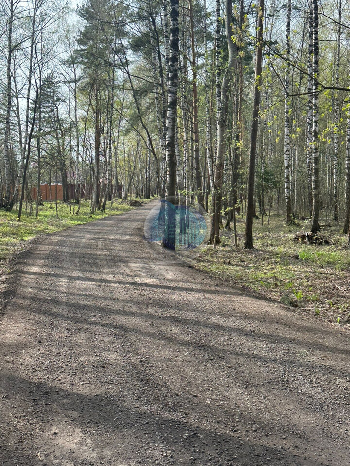 земля городской округ Раменский д Осеченки 10175 кв-л фото 9