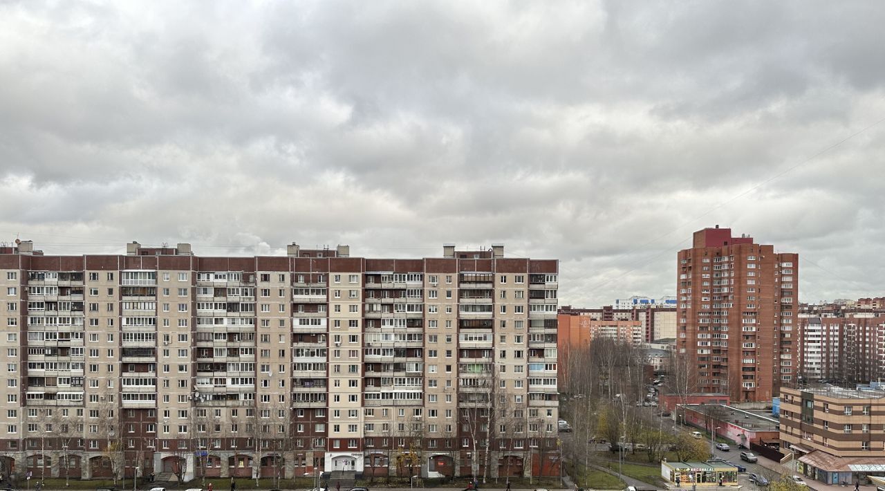 квартира г Санкт-Петербург метро Комендантский Проспект пр-кт Комендантский 34к/1в фото 27