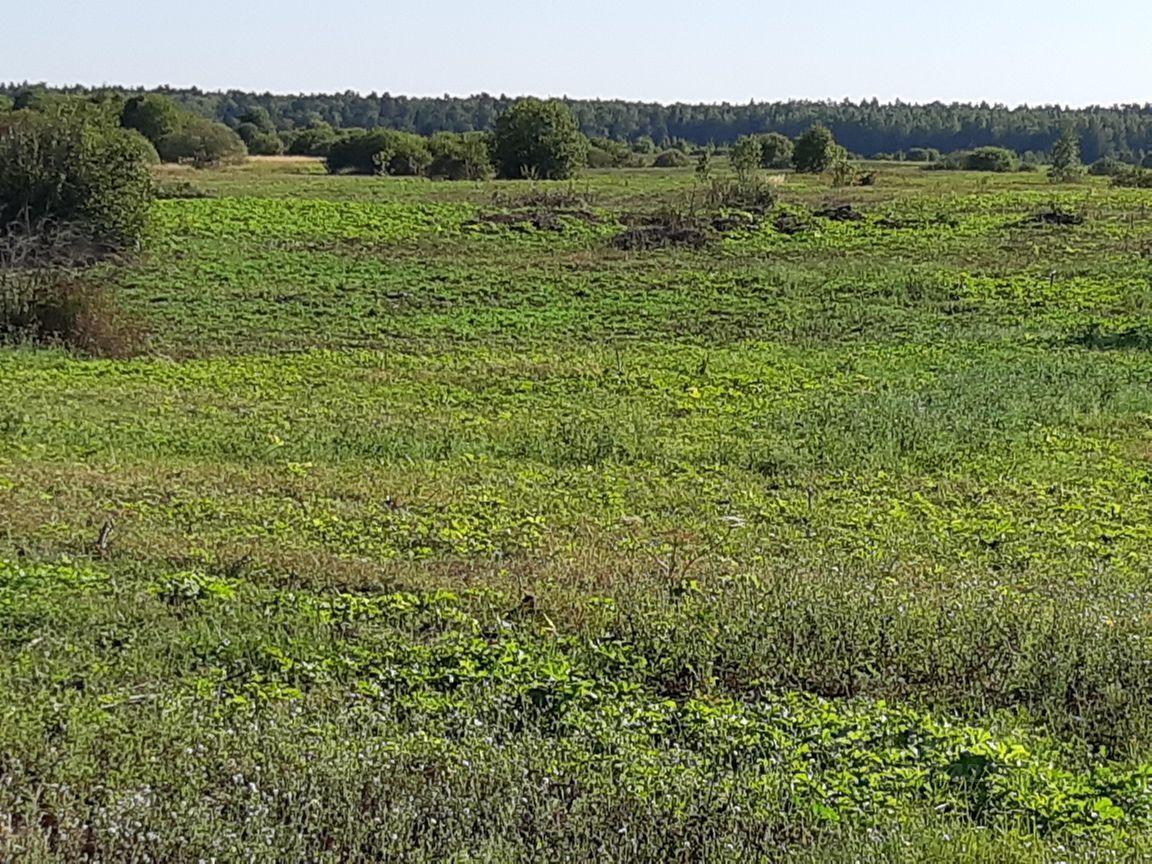 дом г Щёлково Вам Дом Петровское, Осиновая ул, Красноармейск фото 31