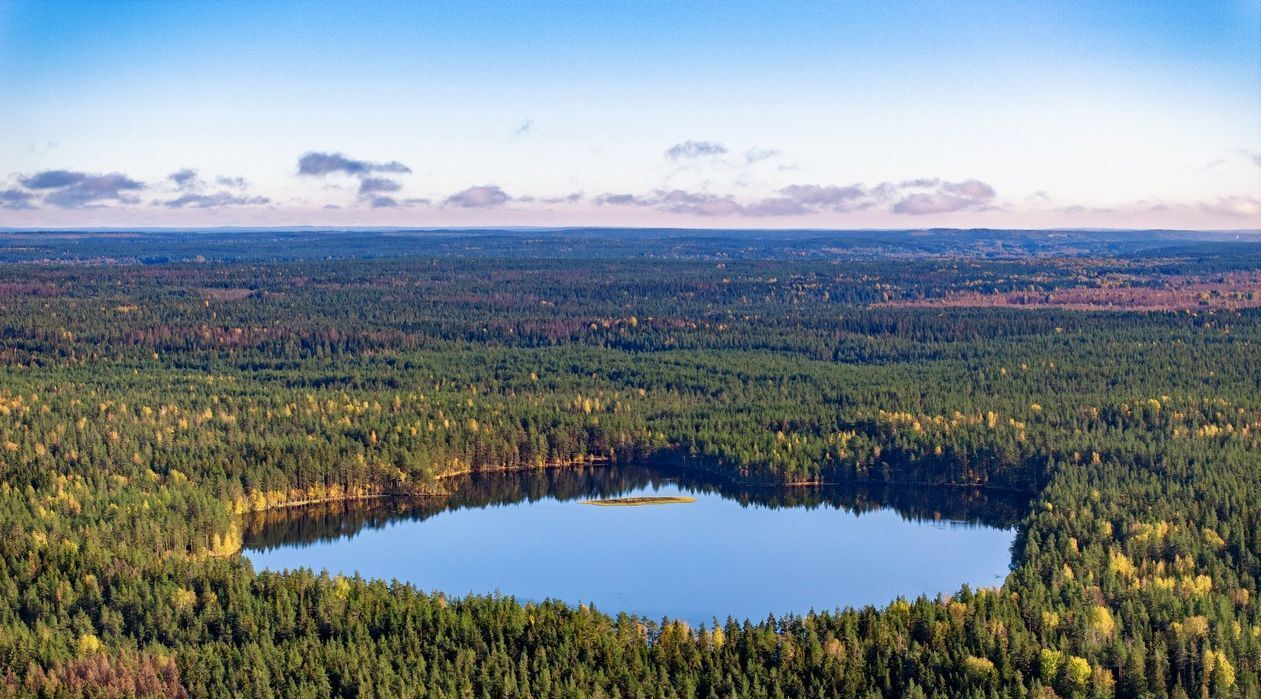 земля р-н Выборгский п Красная Долина Приморское городское поселение фото 24