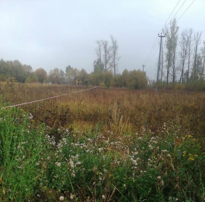 земля р-н Заокский рп Заокский ул Осенняя городское поселение Заокский фото 4