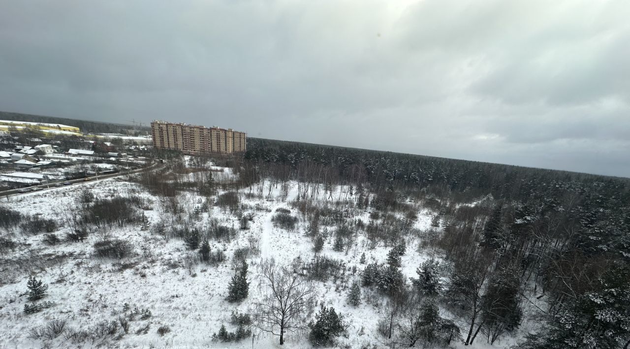 квартира городской округ Богородский д Щемилово ул Орлова 4 микрорайон «Новое Бисерово» Кучино фото 14