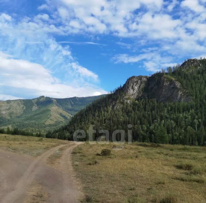 земля г Горно-Алтайск пер Светлый фото 2