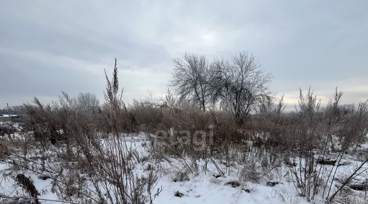 земля р-н Новосибирский с Криводановка Криводановские дачи фото 15