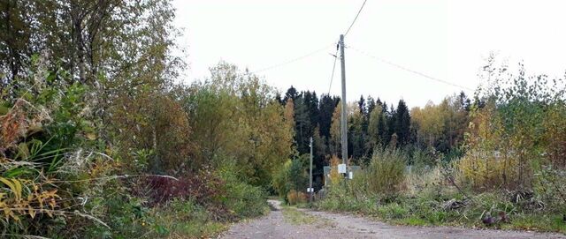 снт Березовая Долина Советское городское поселение фото