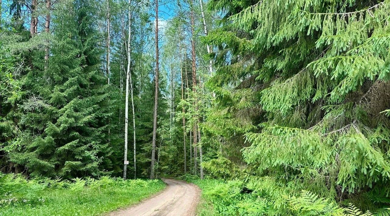 земля р-н Лужский д Новые Крупели ул Лужская Толмачевское городское поселение фото 6