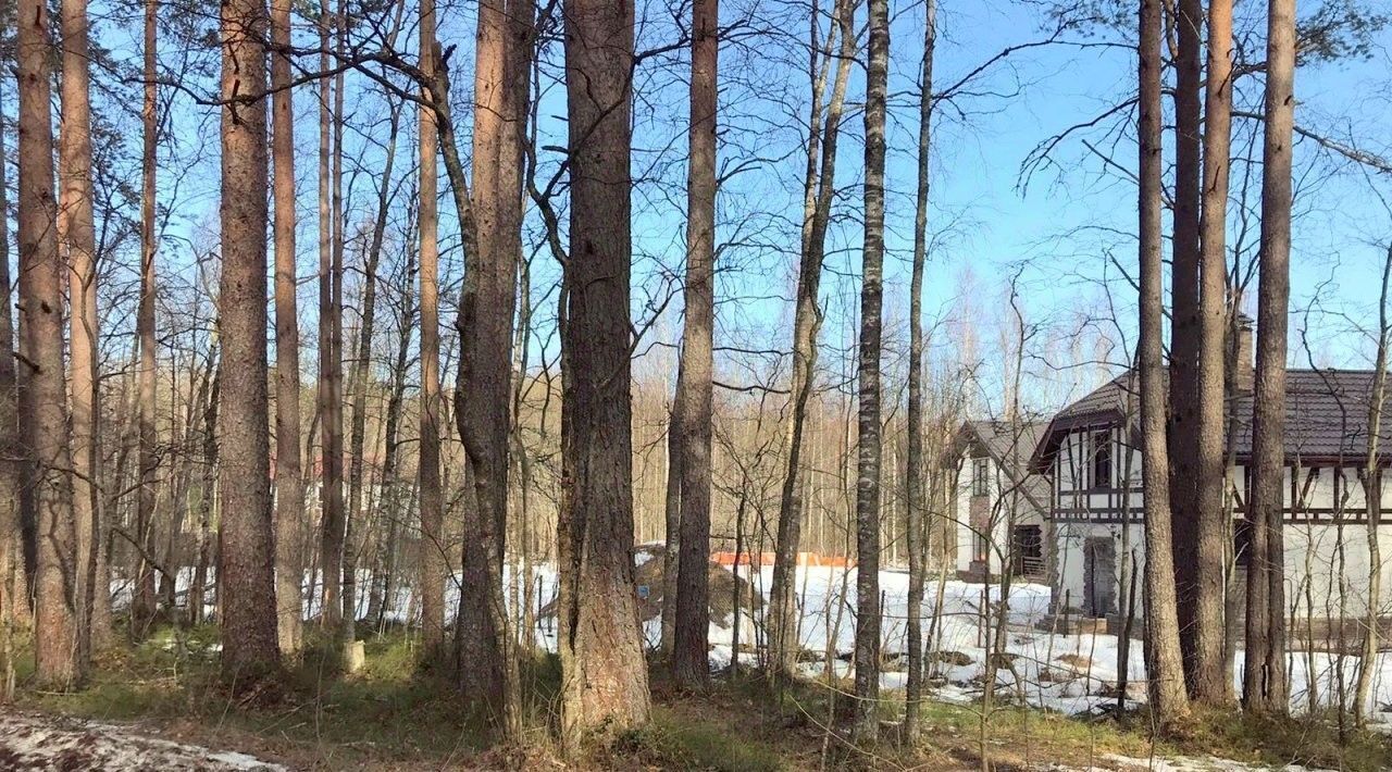 земля р-н Выборгский п Ганино ул Хвойная Рощинское городское поселение, Беговая фото 2