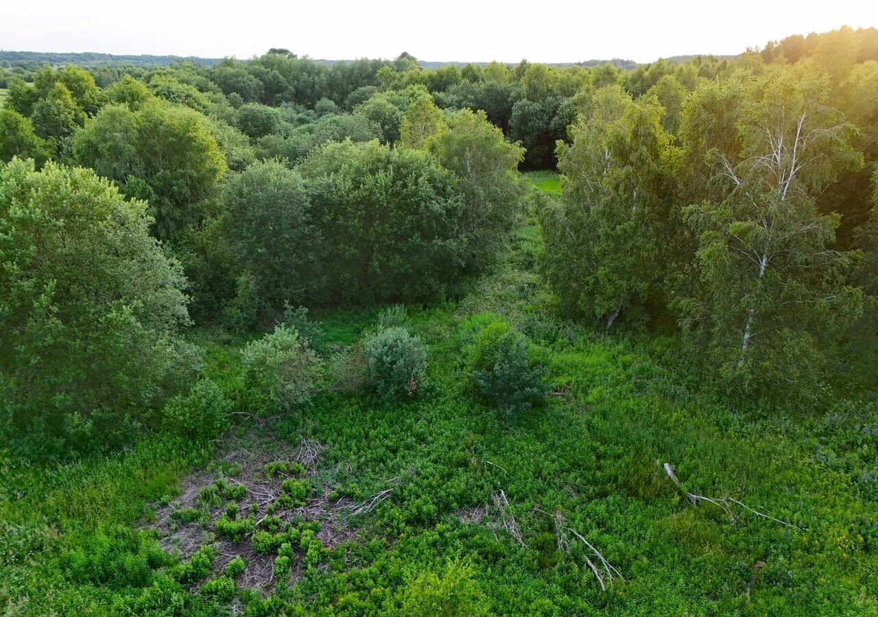 земля р-н Гурьевский п Луговое Калининград фото 3