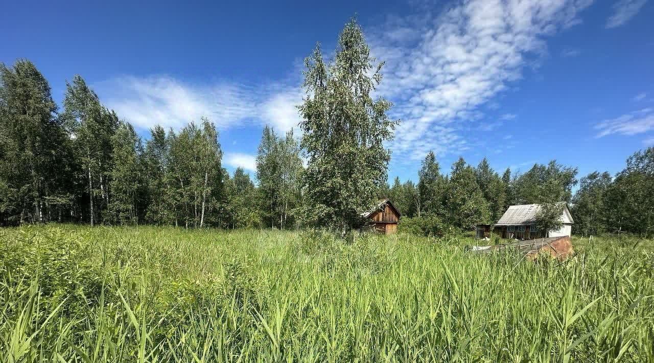 земля р-н Нижнетавдинский снт Лесная Сказка фото 4