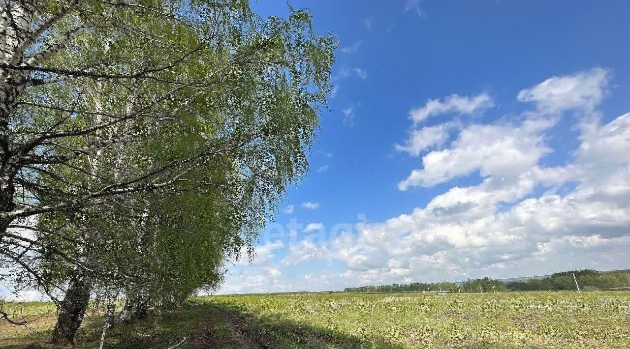 земля р-н Богородский д Килелей фото 2