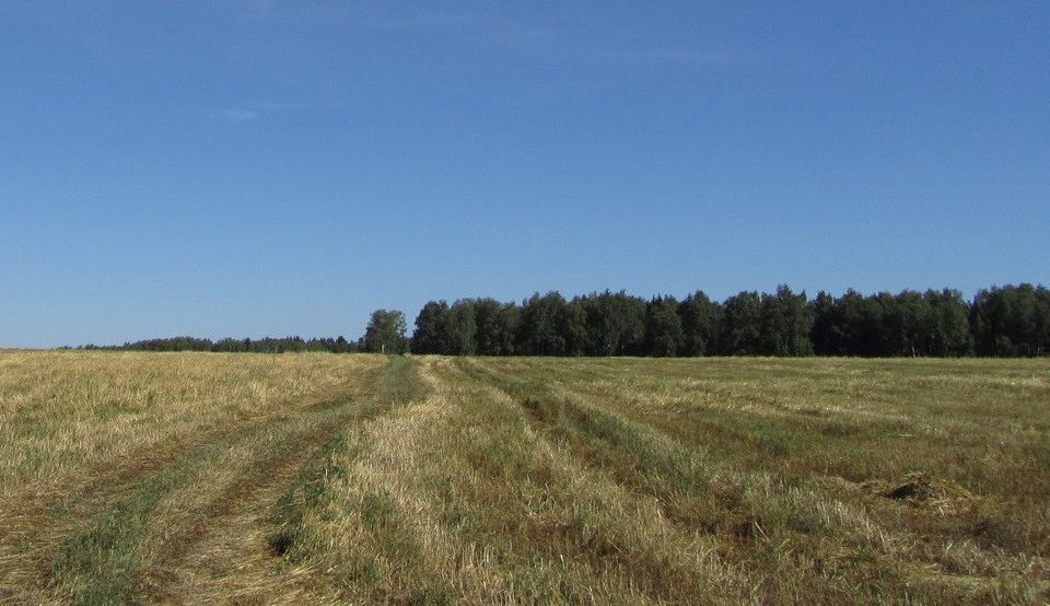 земля городской округ Можайский фото 1