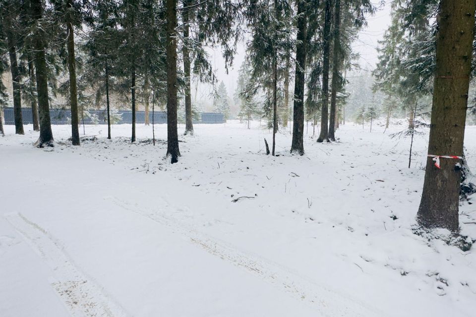 земля городской округ Наро-Фоминский фото 5