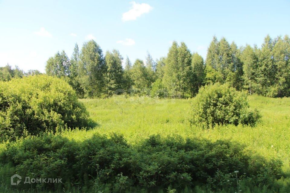 земля городской округ Богородский СНТ Вечерняя Москва фото 6