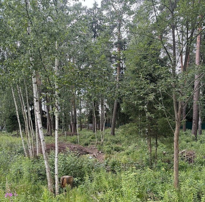 земля городской округ Красногорск д Поздняково Никольская Слобода кп, Аникеевка фото 2