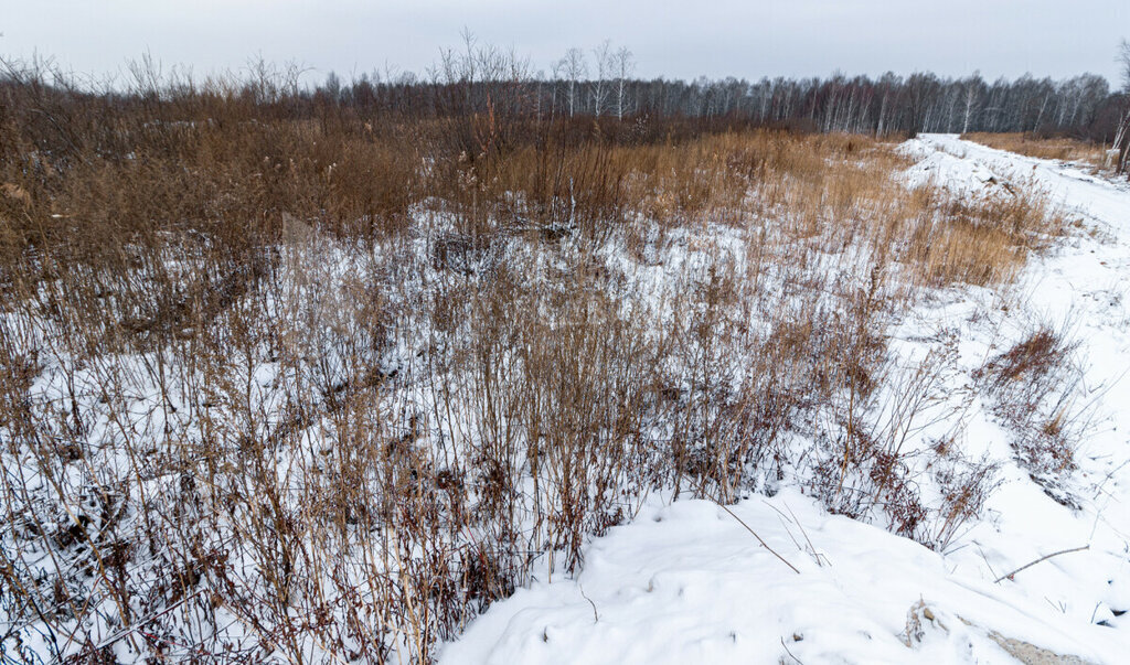 земля р-н Нижнетавдинский фото 11