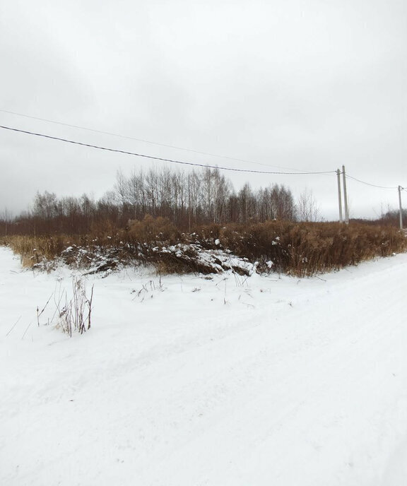 земля р-н Богородский д Каликино Весенняя улица фото 6