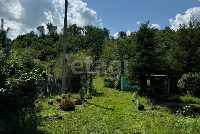 СТ Берёзка, Благовещенск городской округ фото