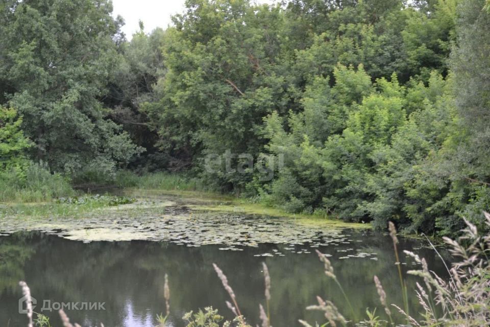 земля р-н Орловский фото 4