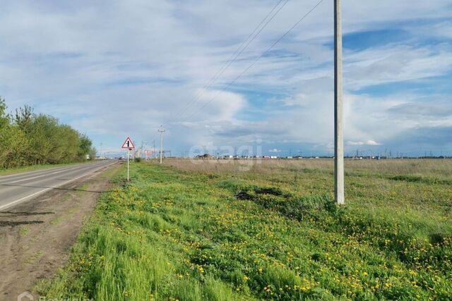 р-н Тамбовский д Крутые Выселки Ракитовая улица фото