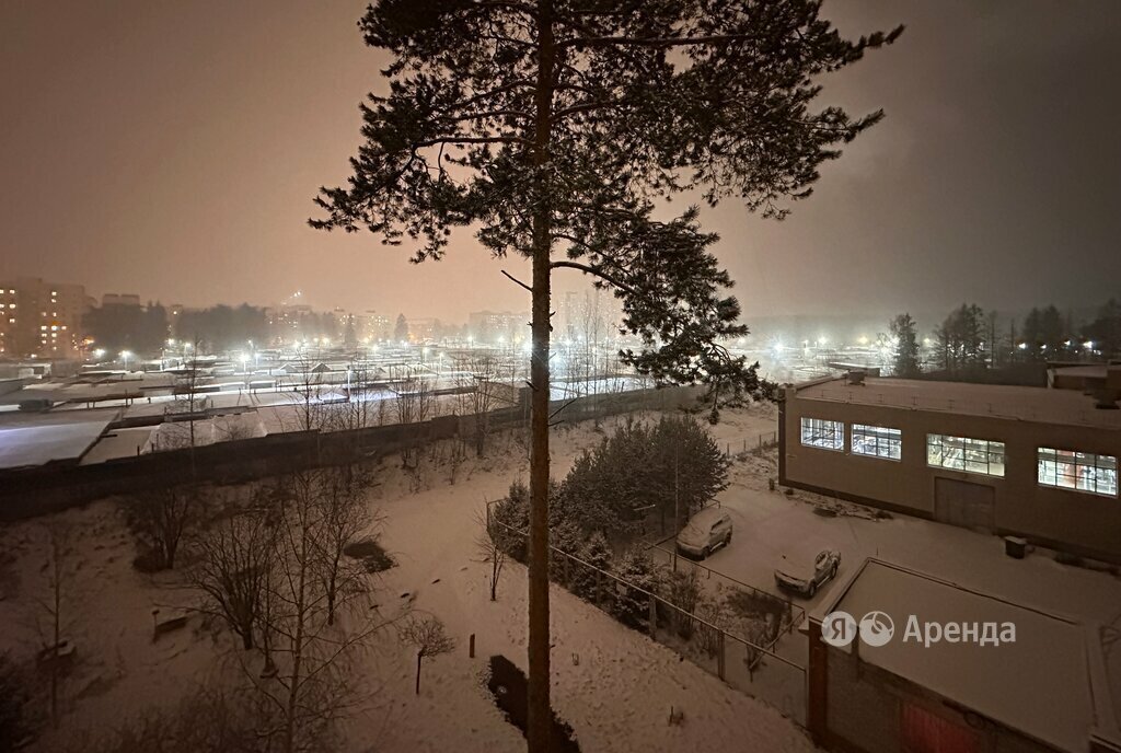 квартира р-н Всеволожский г Сертолово Парнас, Кленовая улица, 1к 2 фото 12