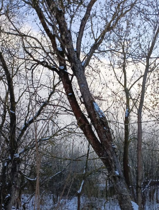 офис городской округ Талдомский г Талдом ул Советская фото 3