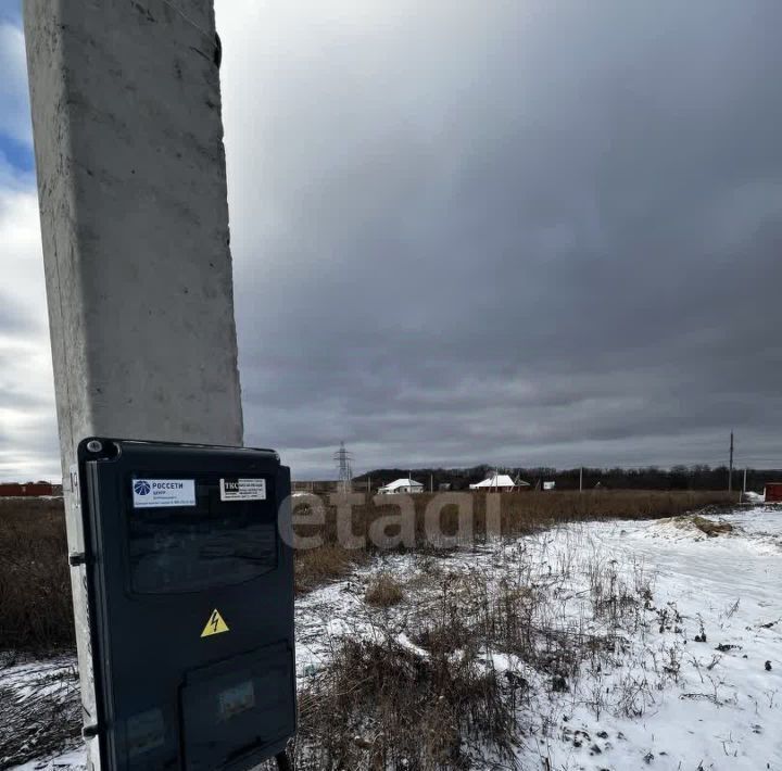 земля р-н Белгородский с Стрелецкое ул 252-й Стрелковой дивизии фото 6