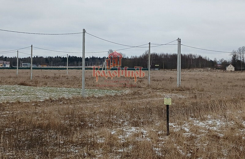 земля городской округ Талдомский д Князчино фото 4