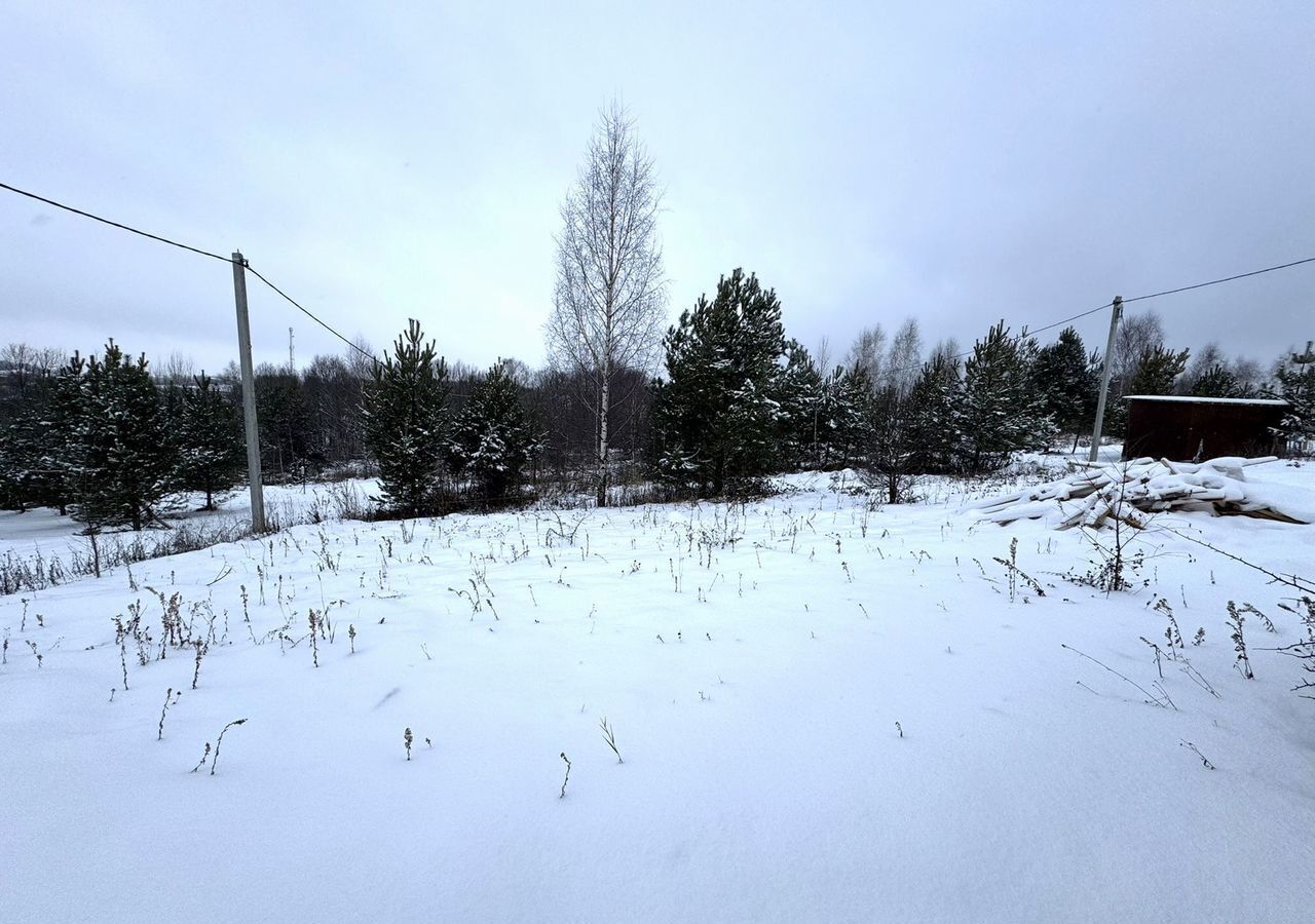 дом р-н Богородский д Шумилово ул Кайнова Богородск фото 23