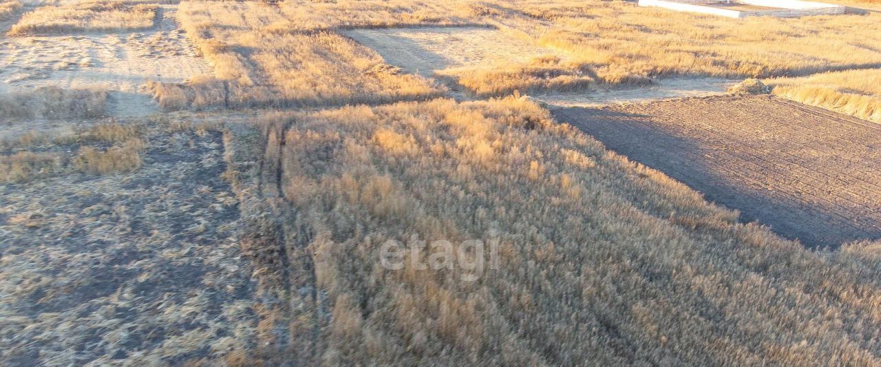 земля р-н Тюменский д Большие Акияры Червишевское сельское поселение фото 10