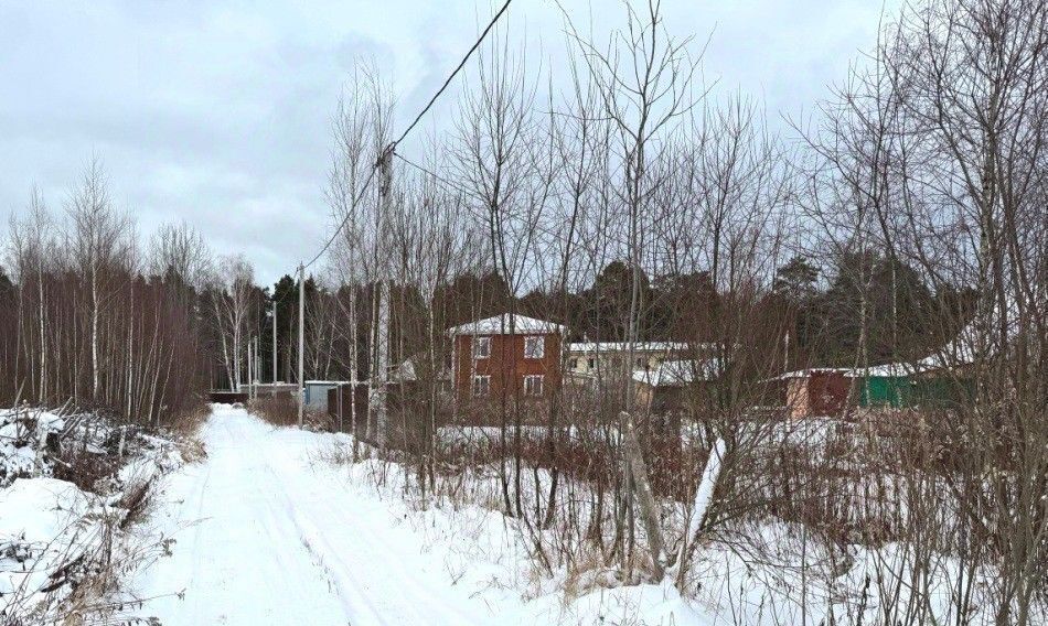 земля городской округ Раменский д Донино Дары природы СНТ, Раменское фото 4