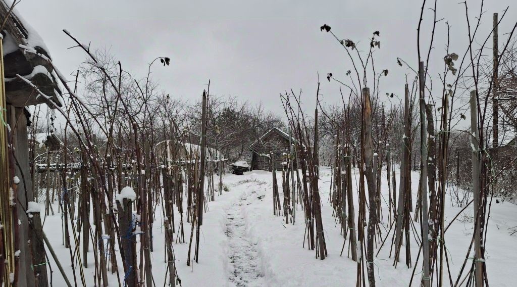 дом р-н Богородский с Доскино ул Центральная 46 фото 13