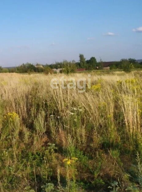 земля р-н Липецкий с Ленино Ленинский сельсовет фото 2