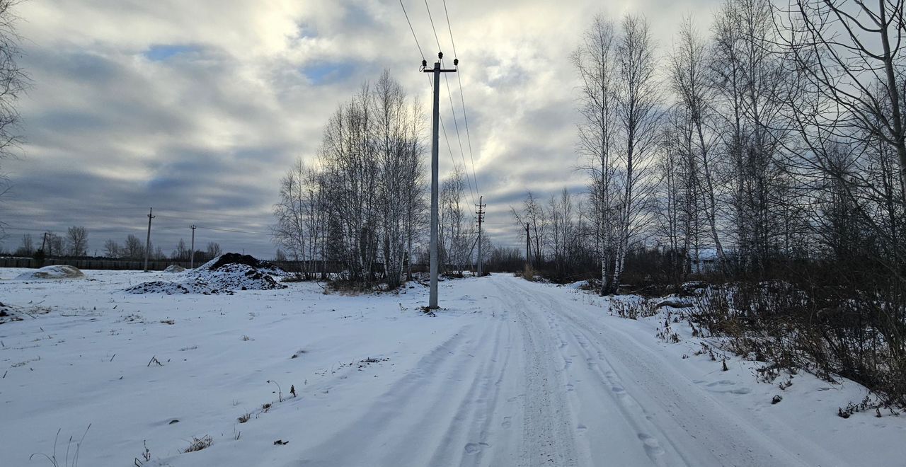 земля р-н Тюменский с Богандинское Винзили фото 8