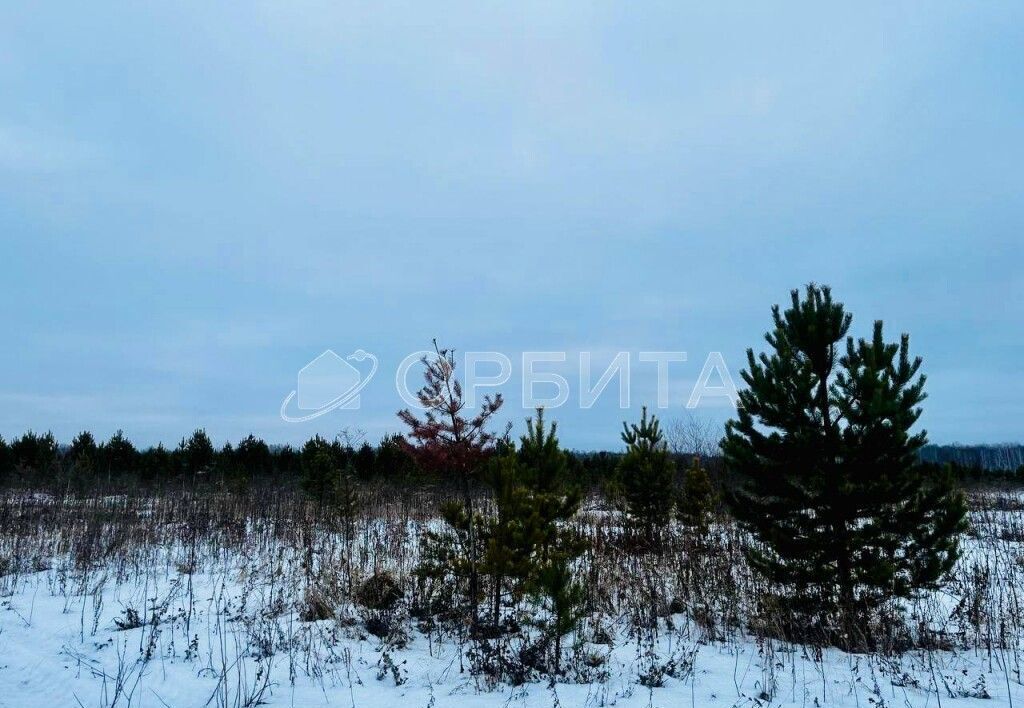 земля р-н Тюменский с Горьковка Горьковское муниципальное образование, Тюмень фото 13